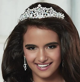 Gallery Image #slidesGrid0