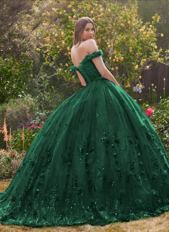 Cinderella Divine 15704 #0 default Emerald thumbnail